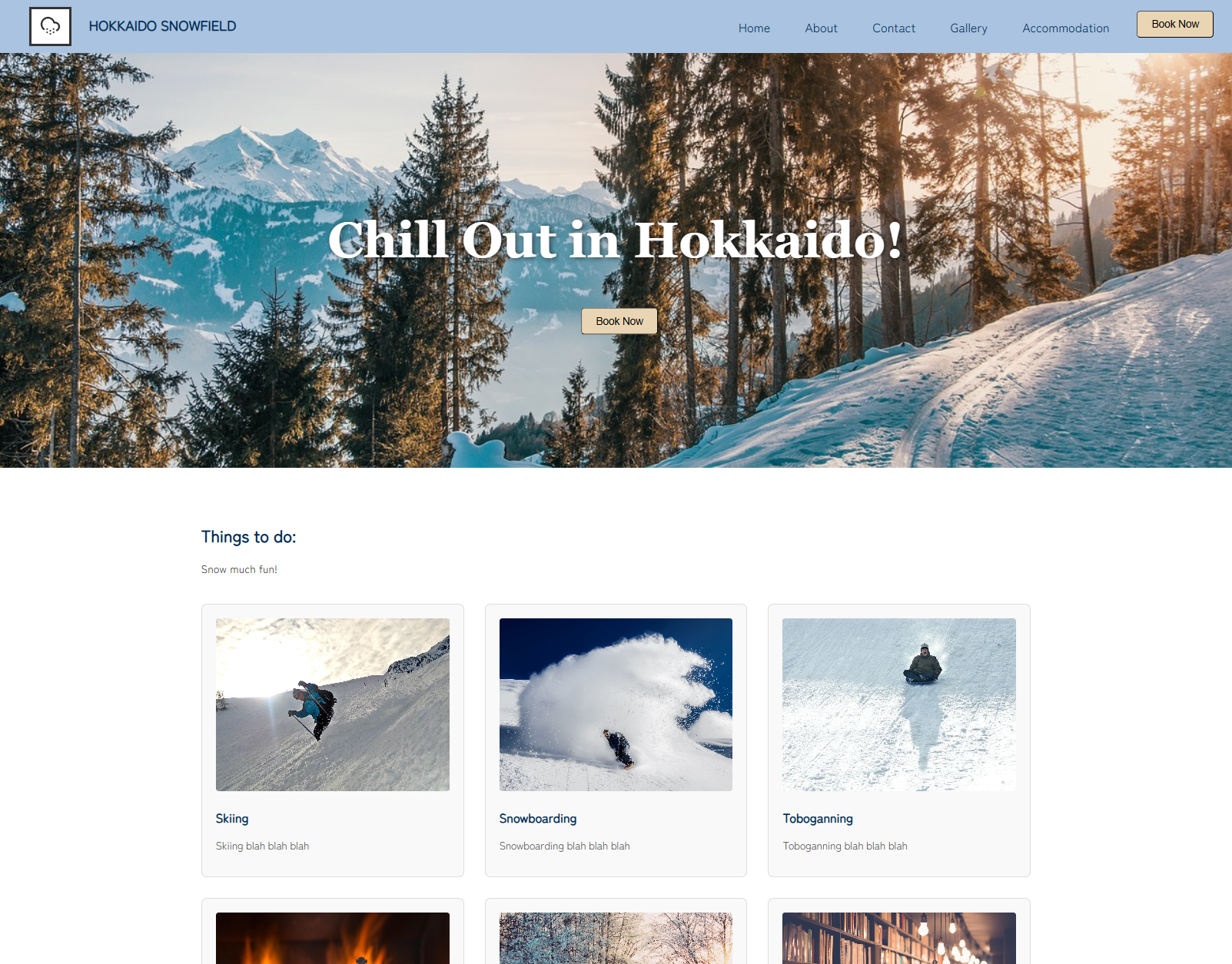 website preview